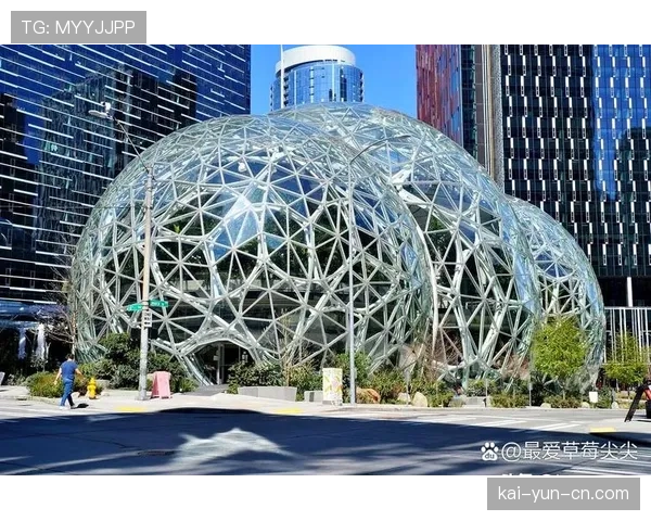 拉斯维加斯新球馆建设方案获批,为未来扩军做准备